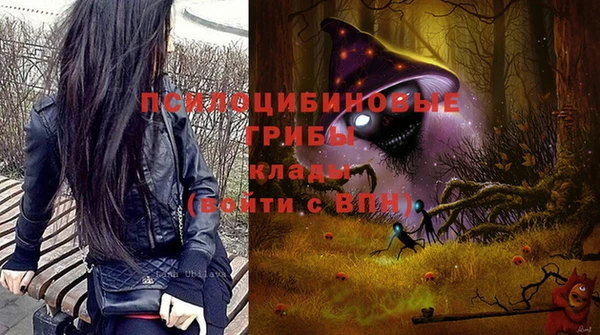 прущий лед Алексин