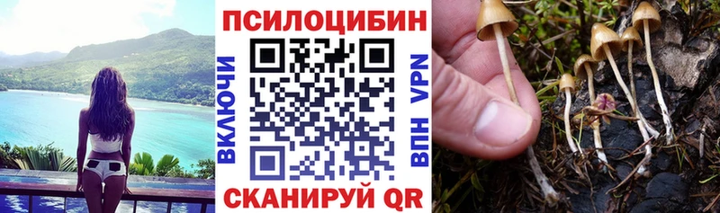 Галлюциногенные грибы прущие грибы  Александровск 